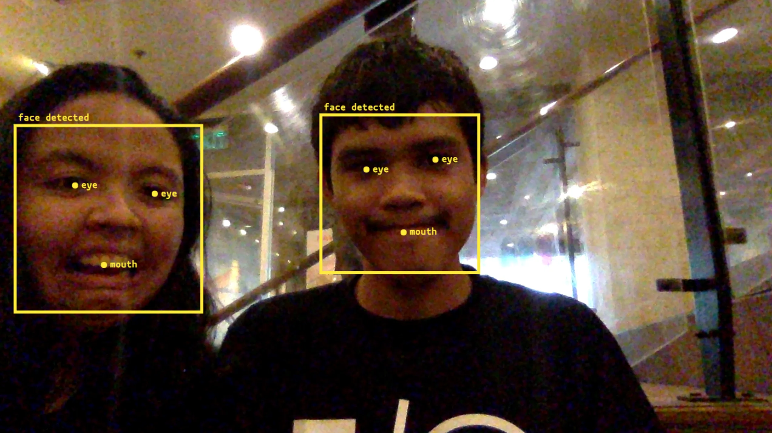 Face detector demo