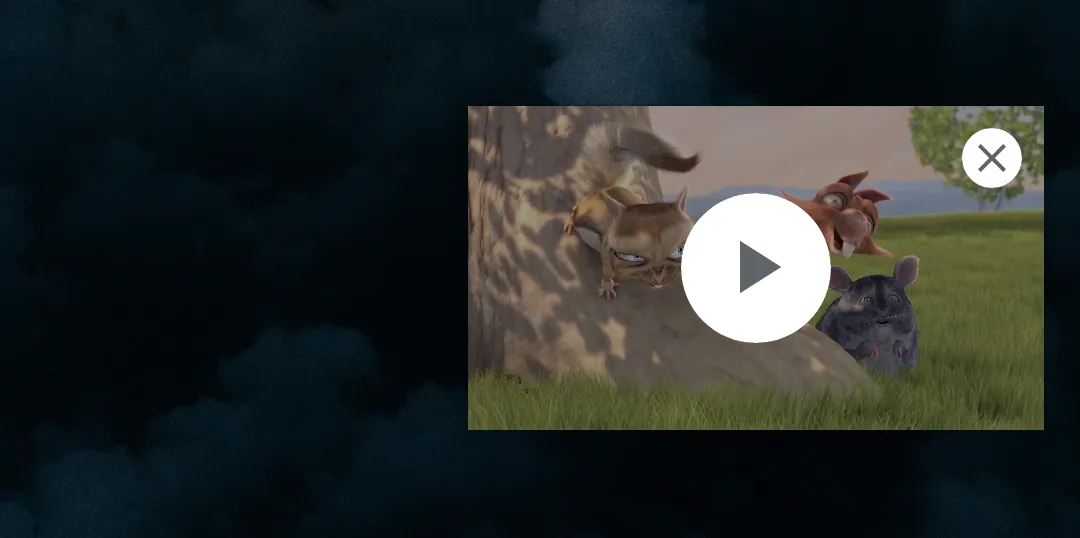 Picture-in-Picture window